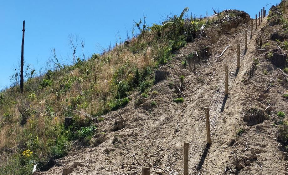 7 Wire Fence on Step Hillside