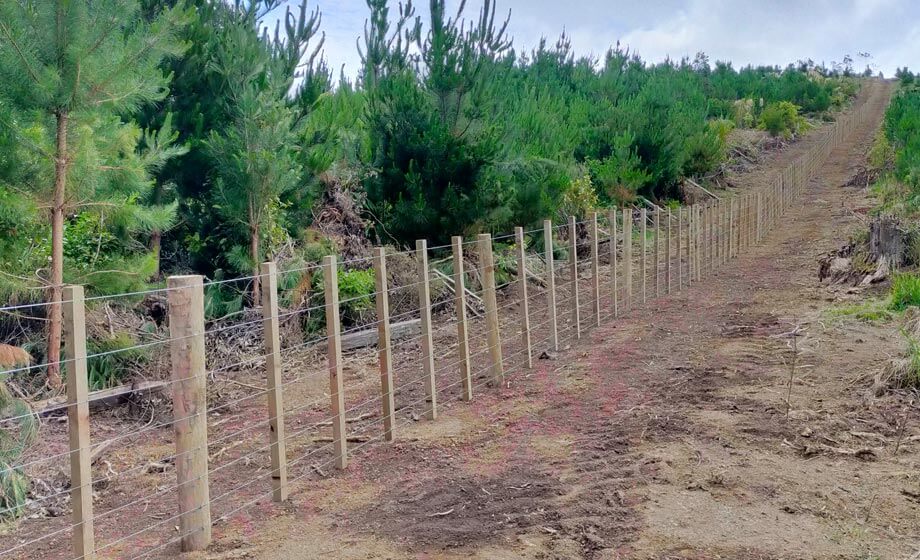7 Wire Property Fencing